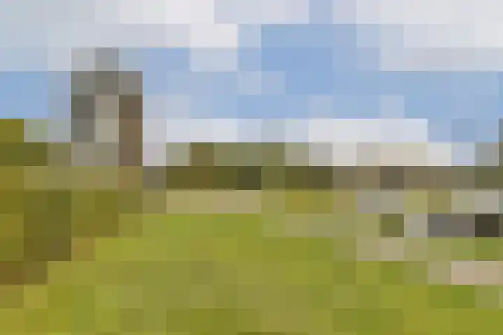Oranjelaan 3 D 1 Dordrecht thumbnail 22