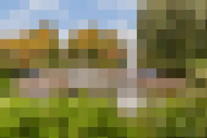 Oranjelaan 3 D 1 Dordrecht thumbnail 24