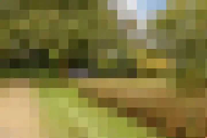 Oranjelaan 3 D 1 Dordrecht thumbnail 25