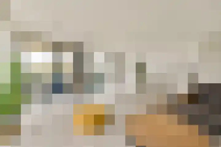 Oranjelaan 3 D 1 Dordrecht thumbnail 4