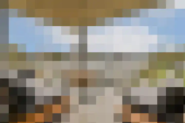 Oranjelaan 3 D 1 Dordrecht thumbnail 5