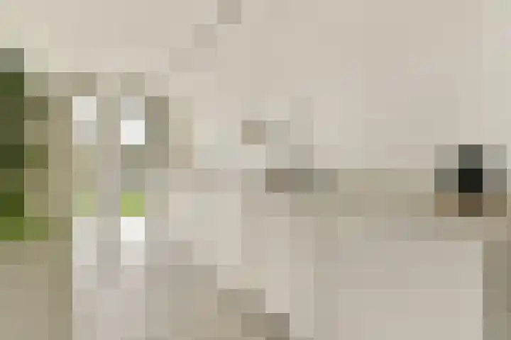 Oranjelaan 3 D 1 Dordrecht thumbnail 7