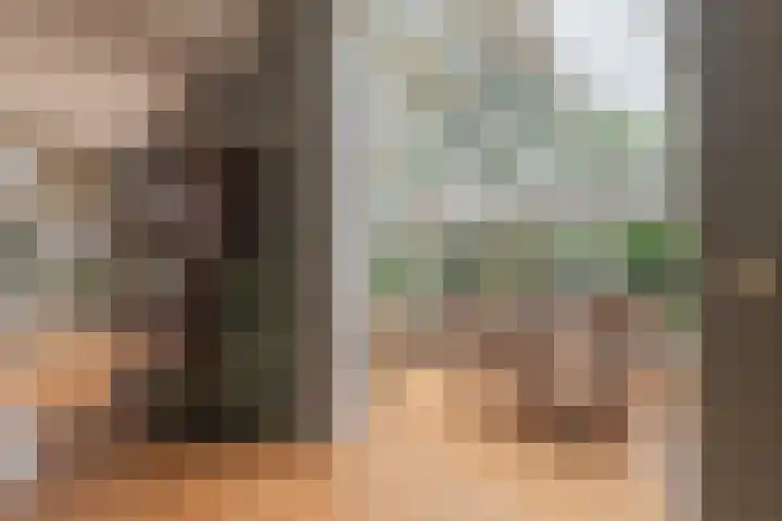 Oranjelaan 3 Groenekan thumbnail 10