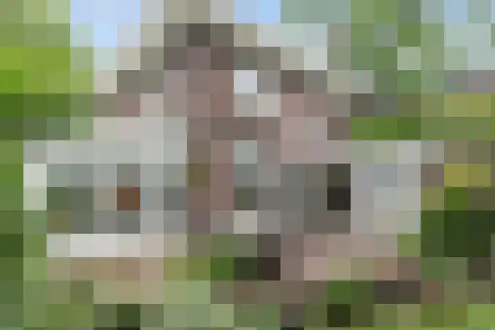 Oranjelaan 3 Groenekan thumbnail 26