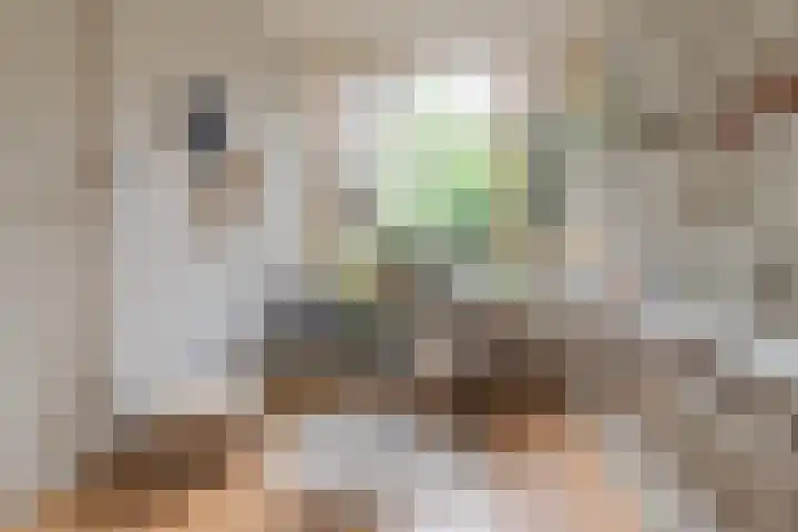 Oranjelaan 3 Groenekan thumbnail 27