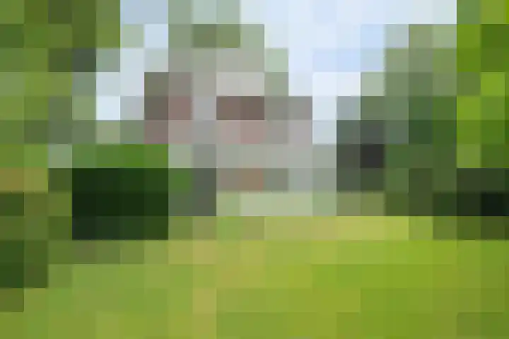 Oranjelaan 3 Groenekan foto 3