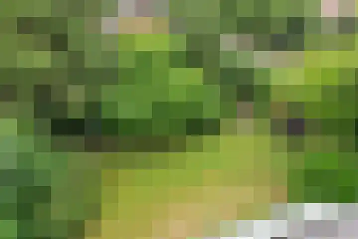 Oranjelaan 3 Groenekan thumbnail 32