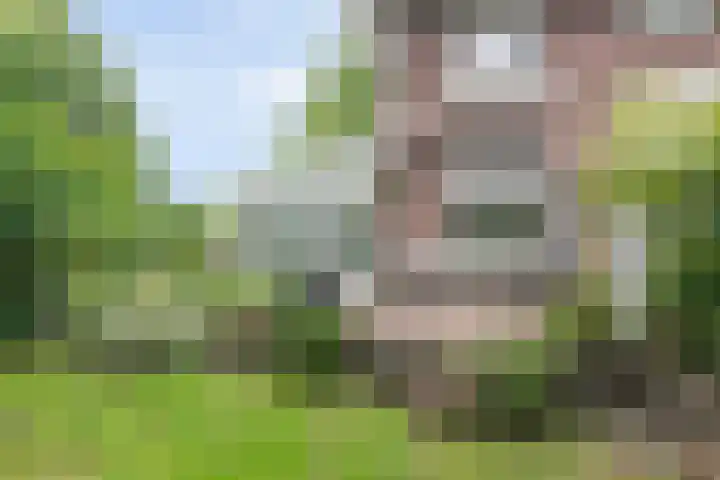 Oranjelaan 3 Groenekan thumbnail 33