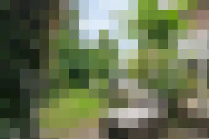 Oranjelaan 3 Groenekan thumbnail 34