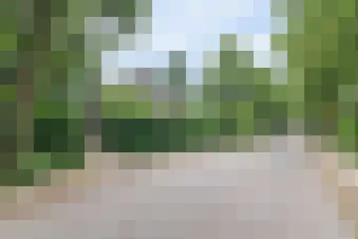Oranjelaan 3 Groenekan thumbnail 36
