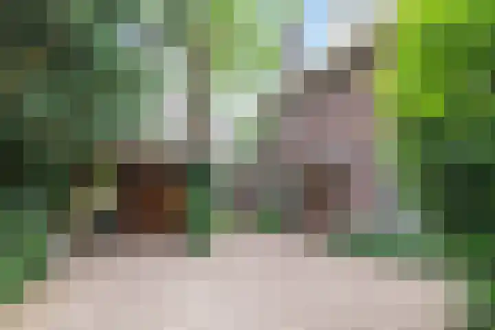 Oranjelaan 3 Groenekan thumbnail 4