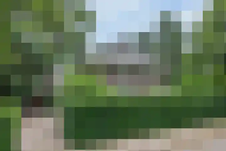 Oranjelaan 3 Groenekan thumbnail 49