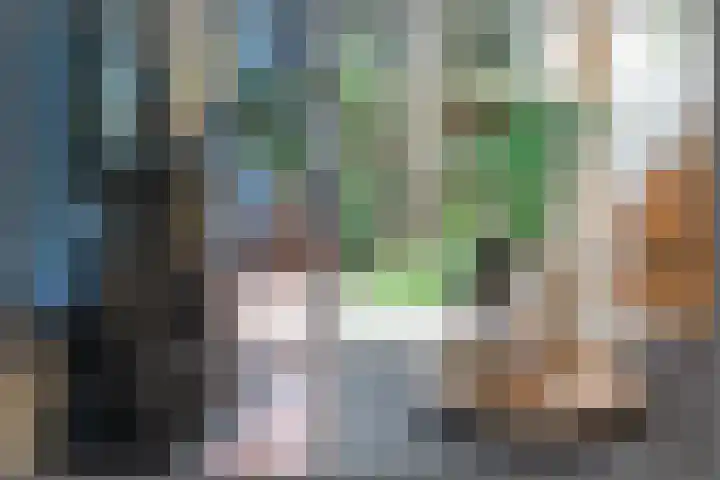 Oranjelaan 3 Groenekan thumbnail 7