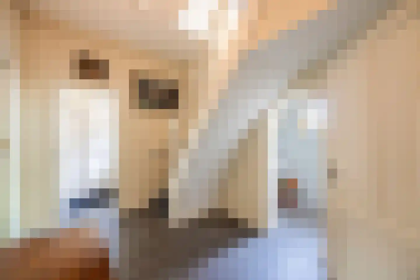 Oranjelaan 3 Hilversum thumbnail 16