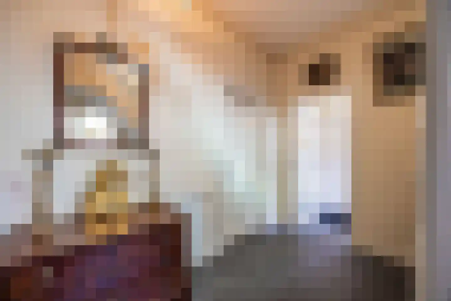 Oranjelaan 3 Hilversum thumbnail 17