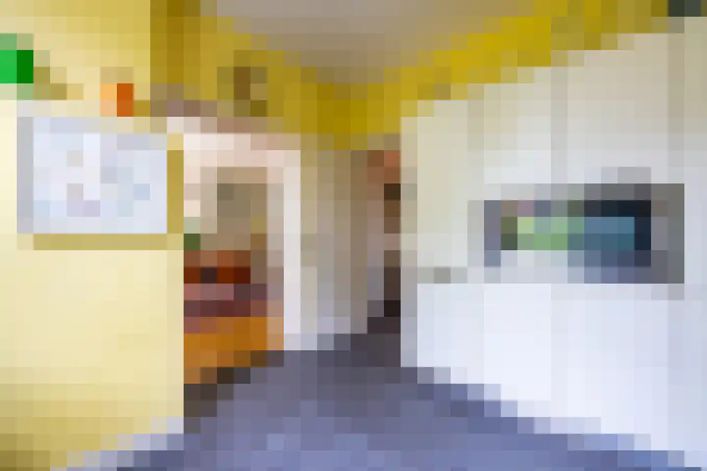 Oranjelaan 3 Hilversum thumbnail 19