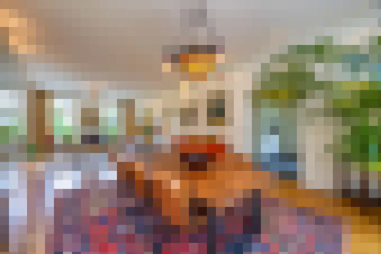 Oranjelaan 3 Hilversum thumbnail 26