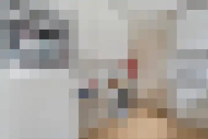 Oranjelaan 3 Meppel thumbnail 11