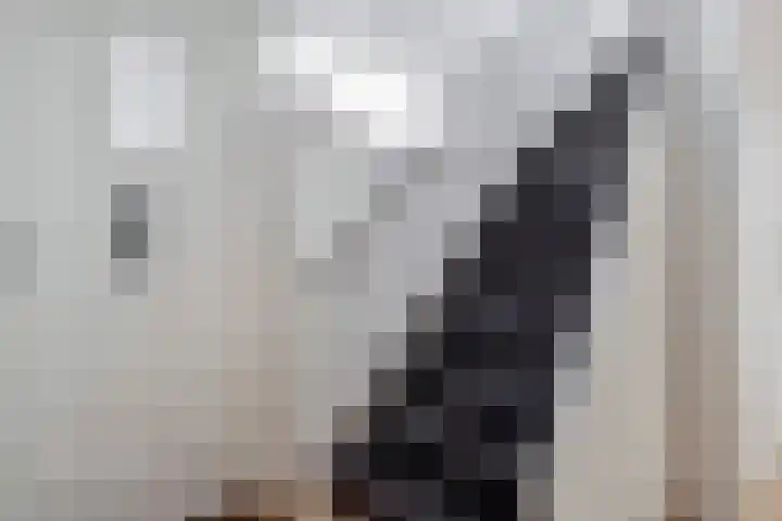 Oranjelaan 3 Meppel thumbnail 14