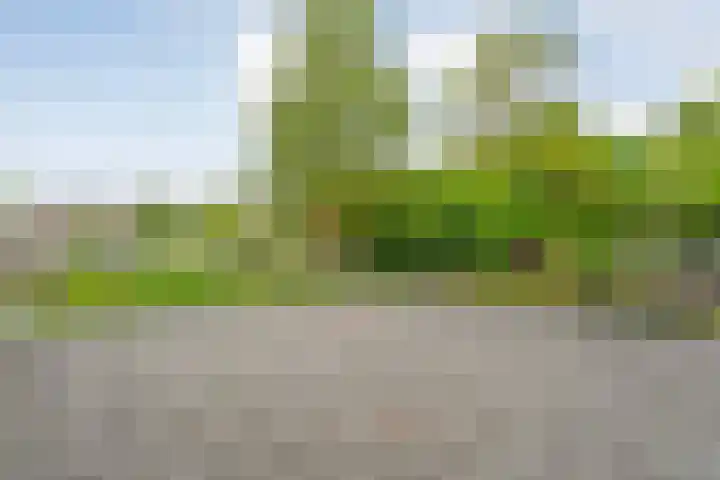 Oranjelaan 3 Meppel thumbnail 25