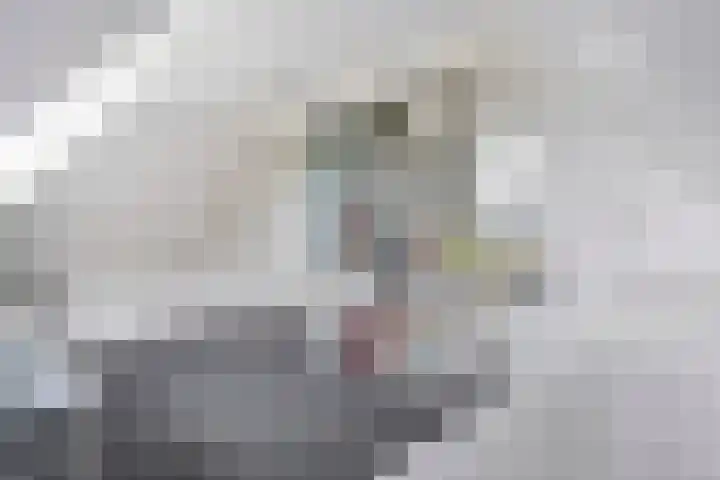 Oranjelaan 3 Meppel thumbnail 33