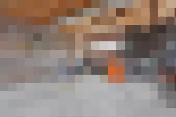 Oranjelaan 3 Meppel thumbnail 36