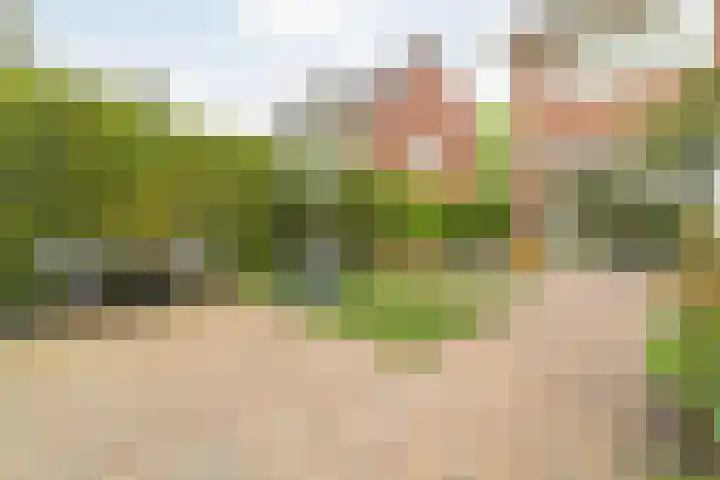 Oranjelaan 3 Meppel thumbnail 37