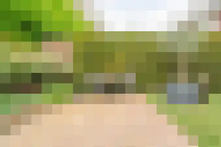 Oranjelaan 3 Meppel thumbnail 38