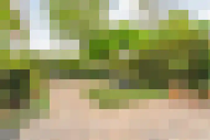 Oranjelaan 3 Meppel thumbnail 39