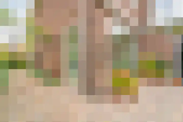 Oranjelaan 3 Meppel thumbnail 41
