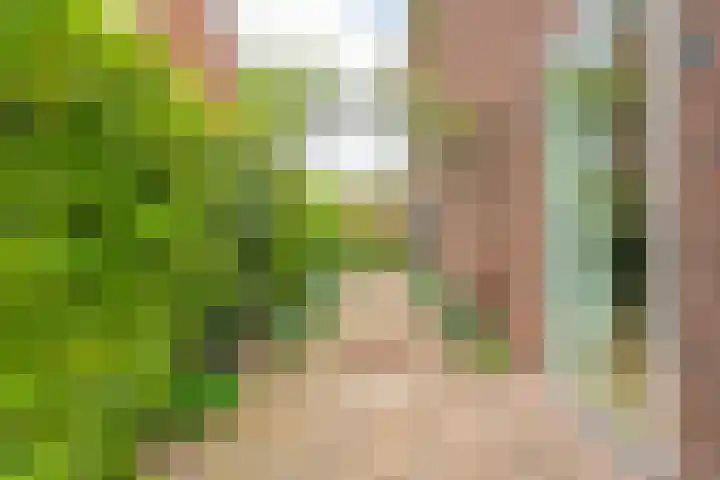 Oranjelaan 3 Meppel thumbnail 42