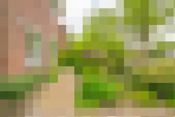Oranjelaan 3 Meppel thumbnail 43