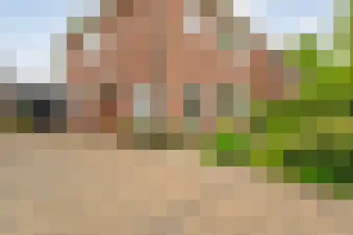 Oranjelaan 3 Meppel thumbnail 45
