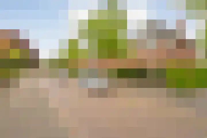 Oranjelaan 3 Meppel thumbnail 47