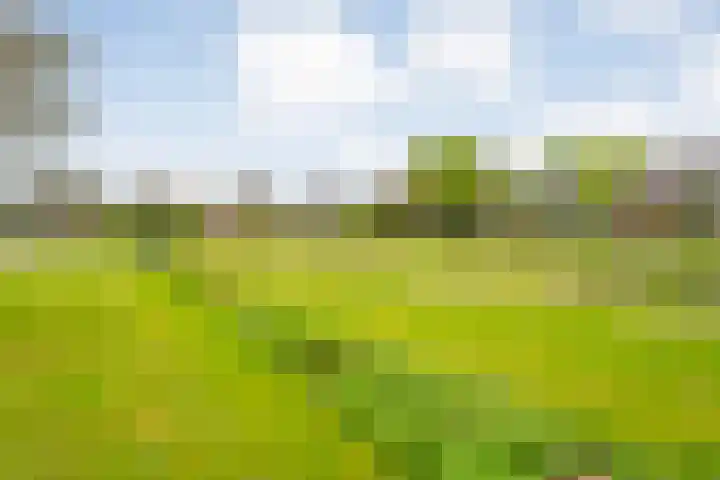 Oranjelaan 3 Meppel thumbnail 48