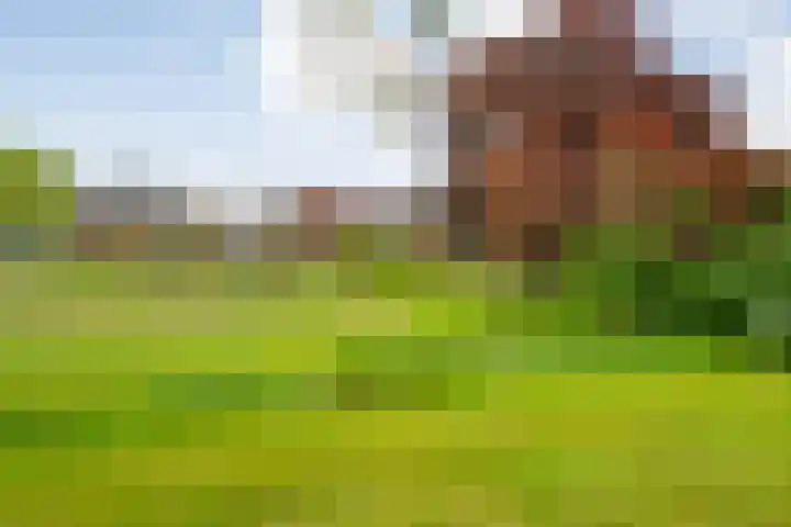 Oranjelaan 3 Meppel thumbnail 49