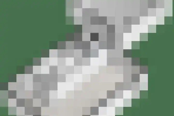 Oranjelaan 3 Meppel thumbnail 51