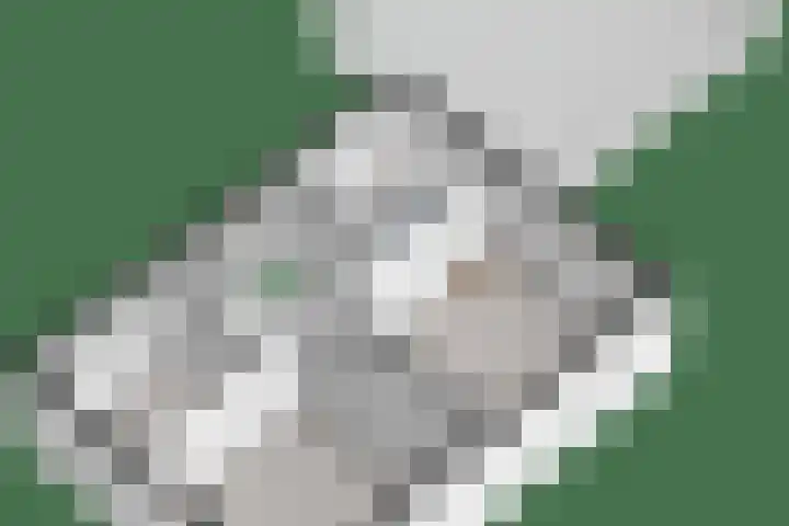 Oranjelaan 3 Meppel thumbnail 53