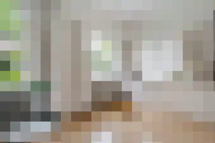 Oranjelaan 3 Meppel thumbnail 6