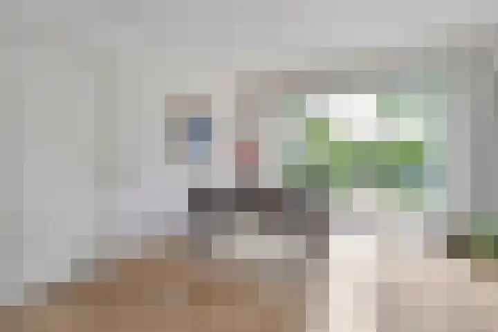 Oranjelaan 3 Meppel thumbnail 8