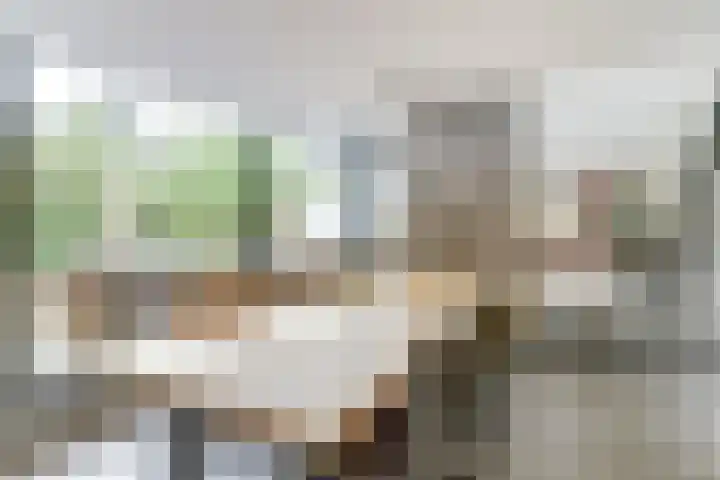 Oranjelaan 30 Alkmaar thumbnail 10