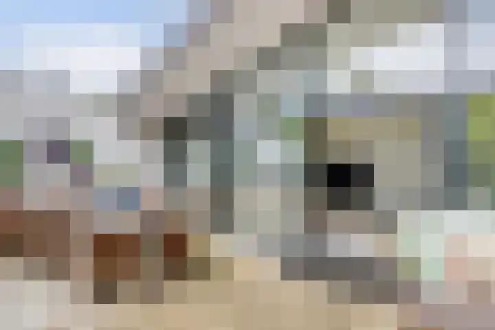 Oranjelaan 30 Alkmaar thumbnail 15