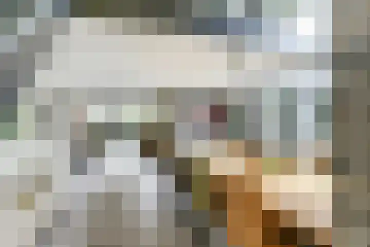 Oranjelaan 30 Alkmaar thumbnail 16