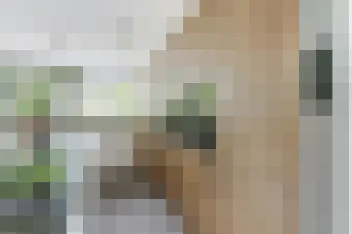Oranjelaan 30 Alkmaar thumbnail 19