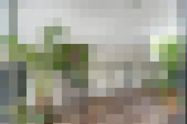 Oranjelaan 30 Alkmaar thumbnail 31