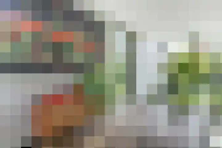 Oranjelaan 30 Alkmaar thumbnail 32