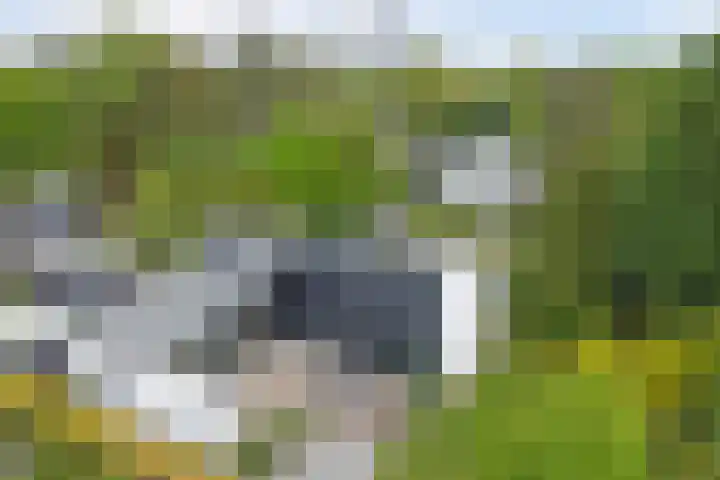 Oranjelaan 30 Alkmaar thumbnail 4