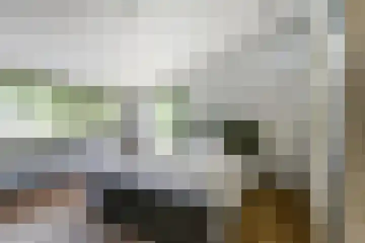 Oranjelaan 30 Alkmaar thumbnail 43