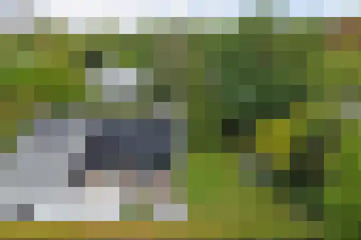 Oranjelaan 30 Alkmaar thumbnail 52
