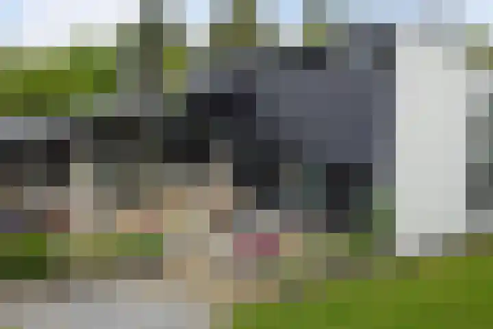 Oranjelaan 30 Alkmaar thumbnail 53